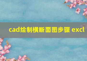 cad绘制横断面图步骤 excl